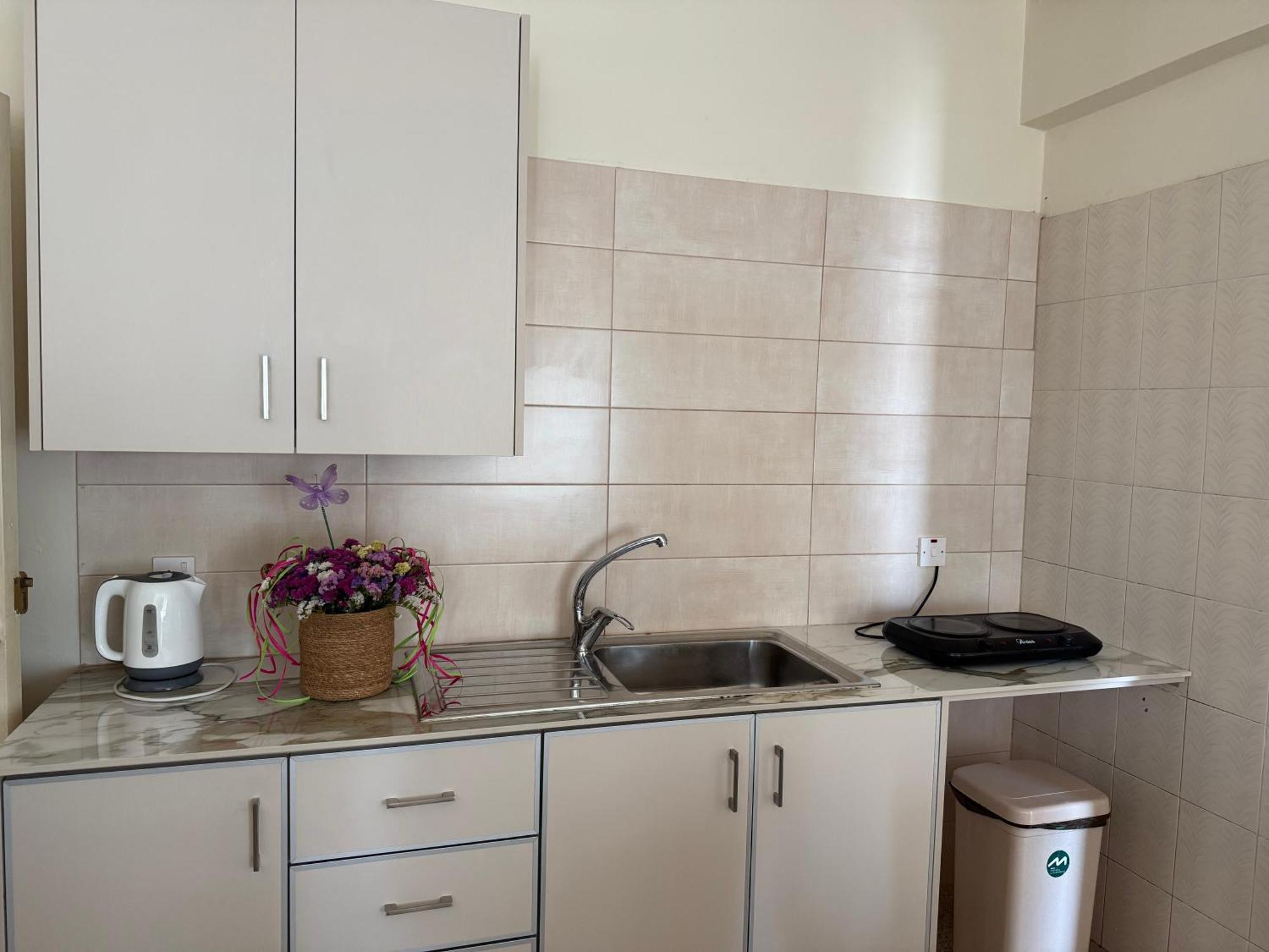 Terpsithea Apartments Ajía Nápa Kültér fotó